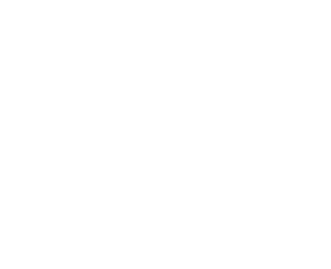 Fractionality — Strategic CxO Consultancy